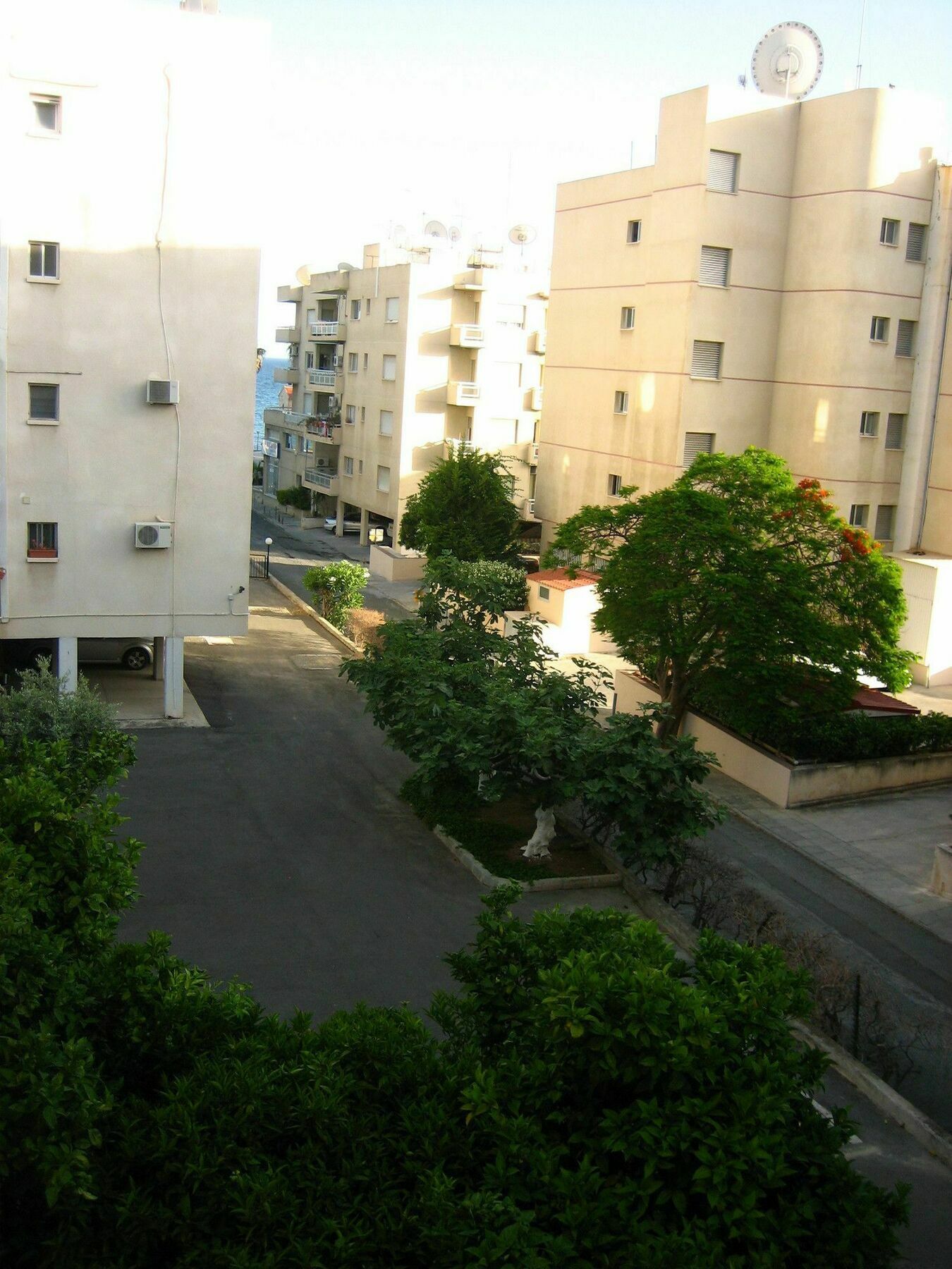 Green Valley Modern Studio Limasol Dış mekan fotoğraf